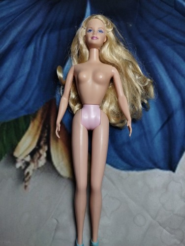 Barbie swan lake - barbie, princess